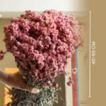 Naturally Dried Daisy Flower Bunch - Set Of Thirty - Image 4