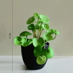 Pennelle Artificial Leaf Pennywort With Black Plastic Pot - Light Green - Image 6