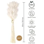 Cloudtail Dried Bunny Tail Stem (White) - Set Of Sixty - Image 2
