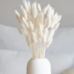 Cloudtail Dried Bunny Tail Stem (White) - Set Of Sixty