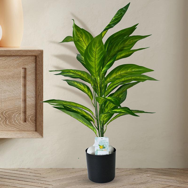 1_567b77db-3326-43c1-a413-b4dfd88a72d0 Faux Everlasting Dieffenbachia Amoena Plant With Pot - 2.4 Feet - Image 1
