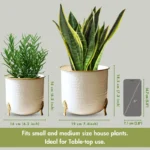 Aurea Metal Hammered Gold Rim Leaf leg Planter - Set of Two