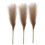 Faux Pampas Grass Sticks (45.7 cms) - Coffee - Image 3