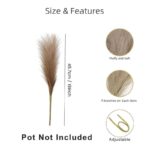 Faux Pampas Grass Sticks (45.7 cms) - Coffee - Image 5